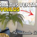 Alternativas al vidrio para ventanas Descubre tus opciones