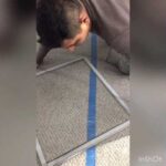 Instala mallas antimosquitos en tus ventanas en 5 pasos